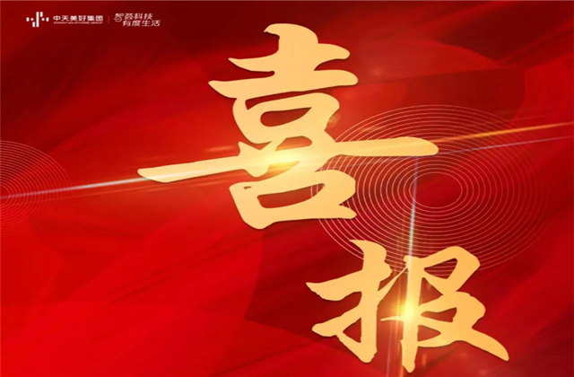 PA视讯美好集团蝉联“2021长三角城市群房地产公司品牌价值TOP10”